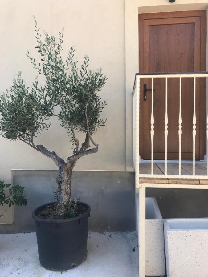 Appartamento Novem Zara Esterno foto