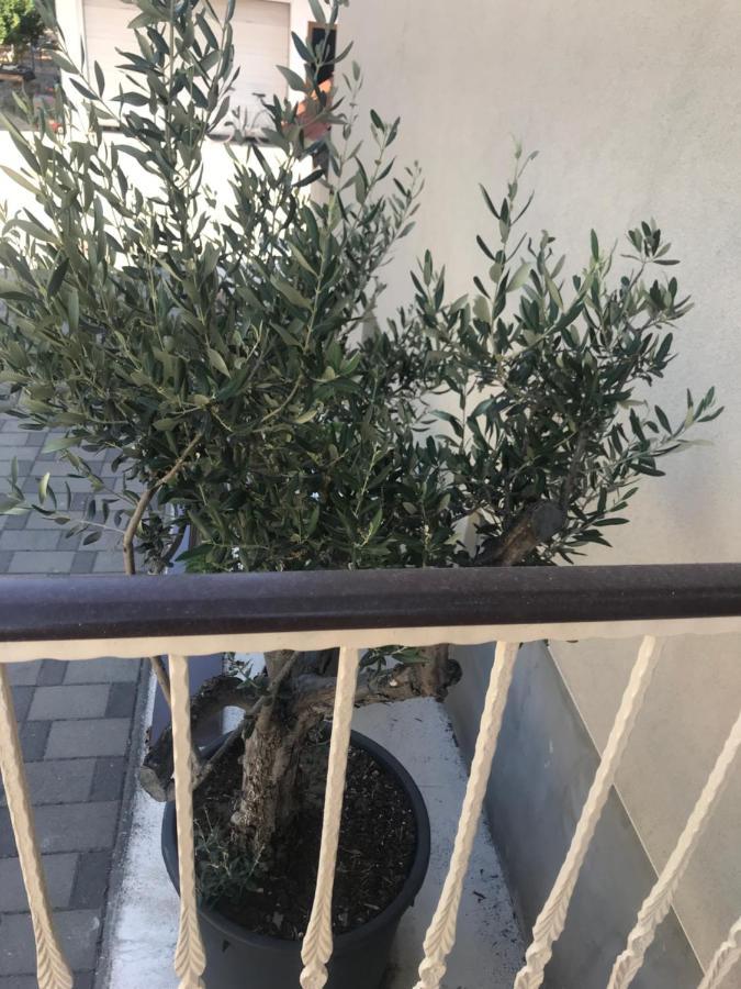 Appartamento Novem Zara Esterno foto
